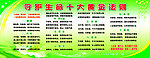 守护生命十大黄金法则