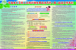 计生专栏