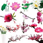 鲜花素材