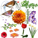 鲜花小鸟素材