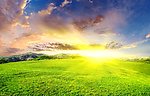 草地上升起太阳