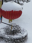 春来早
