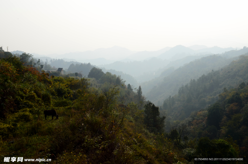 山水