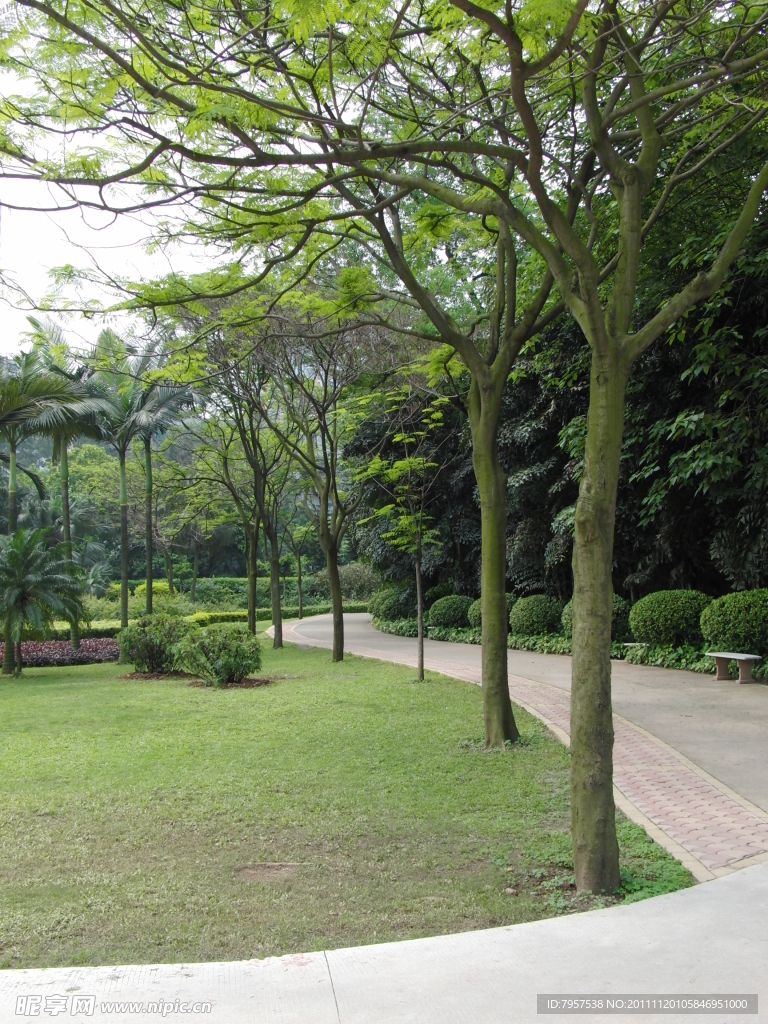 公园风景