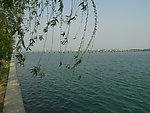 沂河