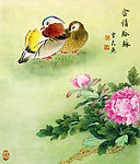 含情脉脉