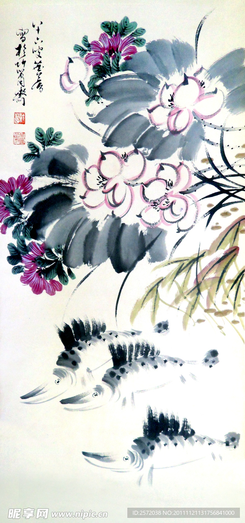 荷花鱼图