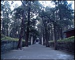 曲阜三孔