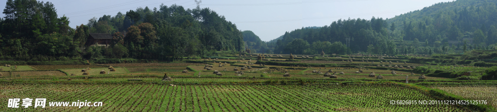 田园风光