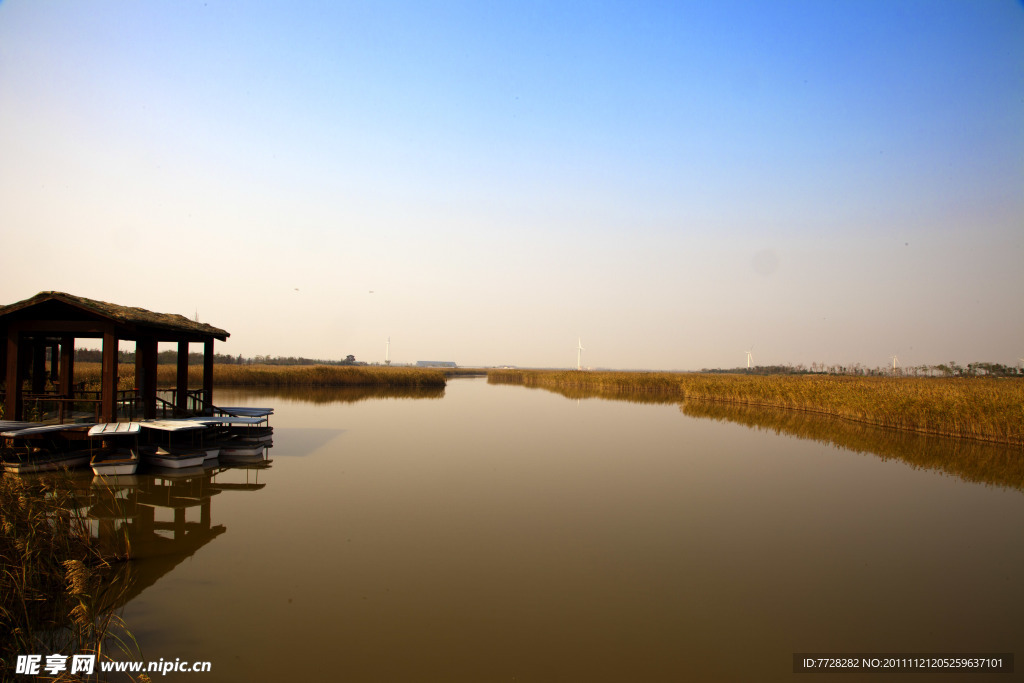 湿地风景