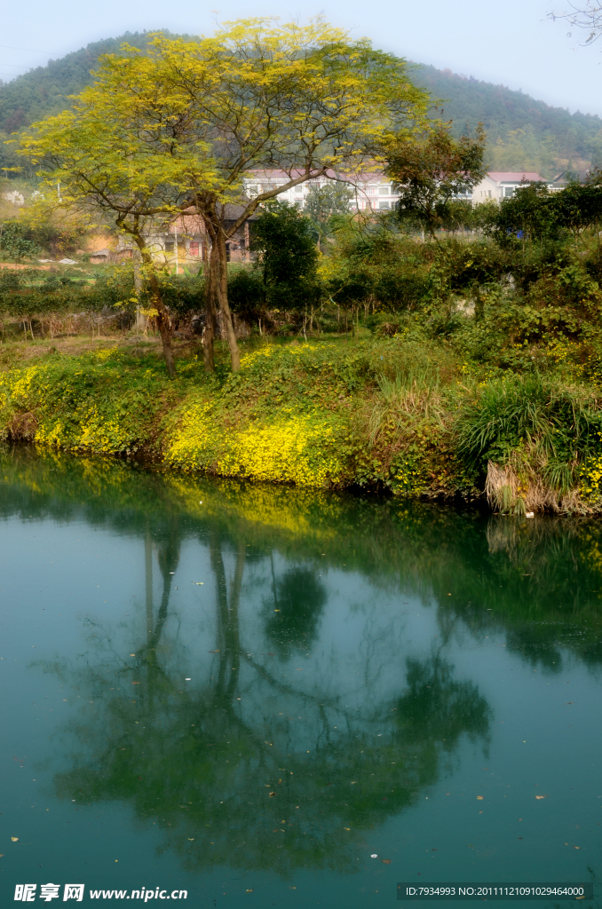 涟水河畔人家