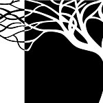 黑白树无框画