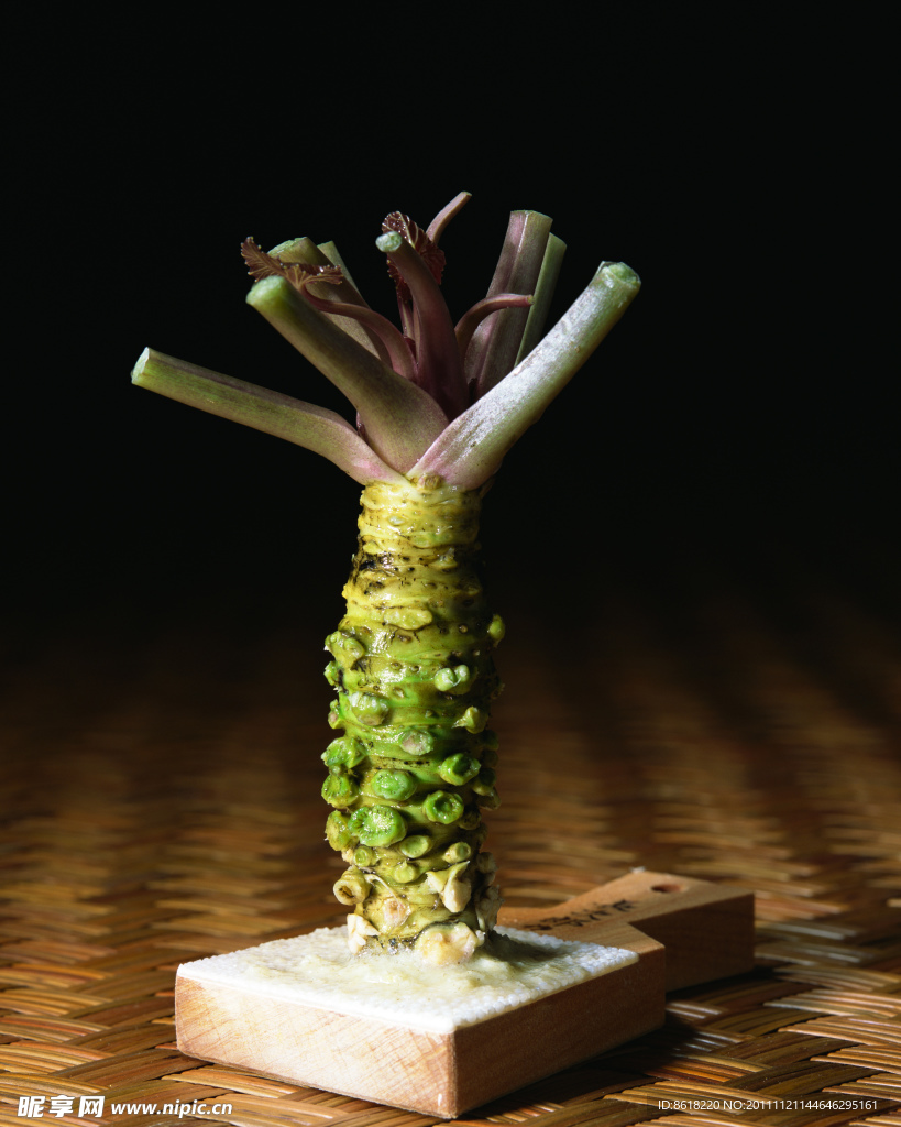 菜头
