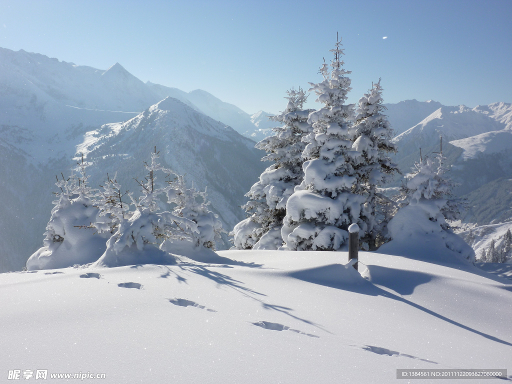 冬季雪景