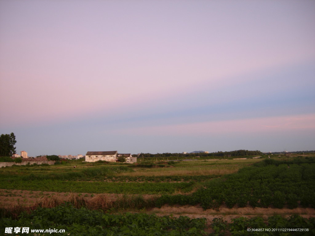 夕阳 傍晚 田野 乡村