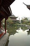 庭院一角