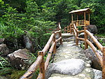 自然风光