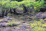 黄龙风景 五彩池