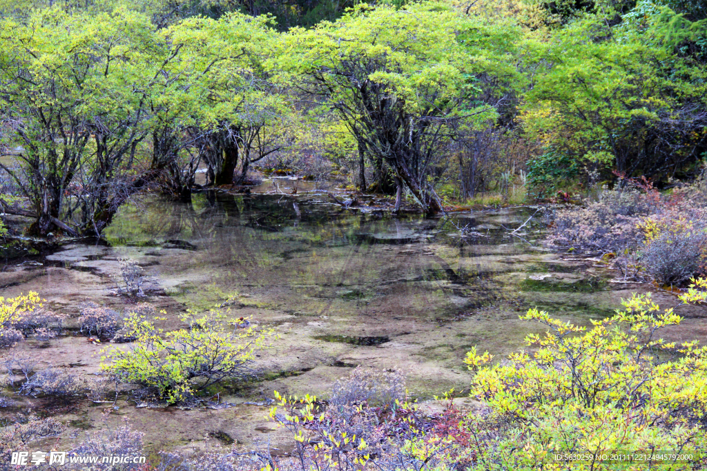 黄龙风景 五彩池