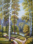 森林风景