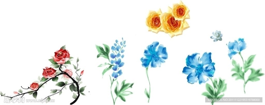 花卉