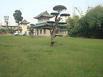 校园风景