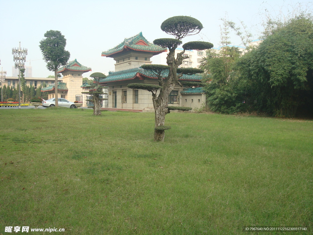 校园风景