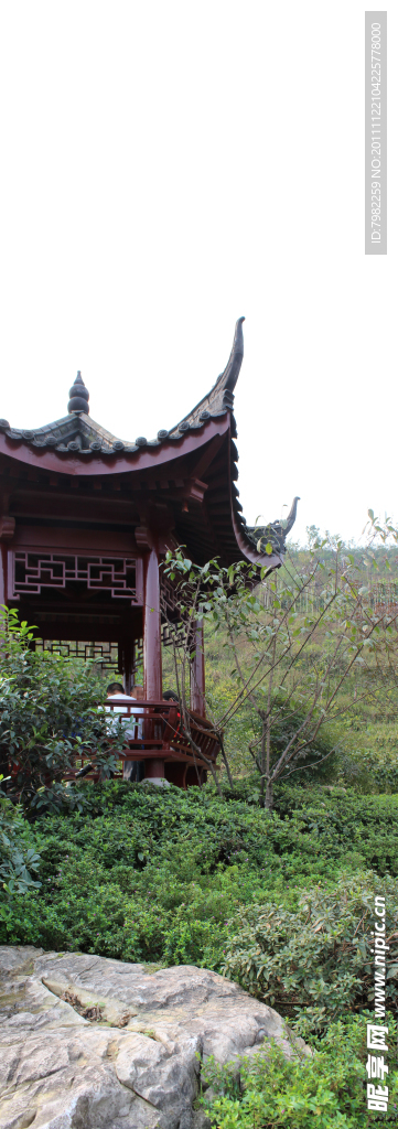 园博园风景