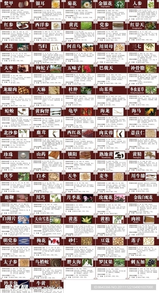中医药材介绍