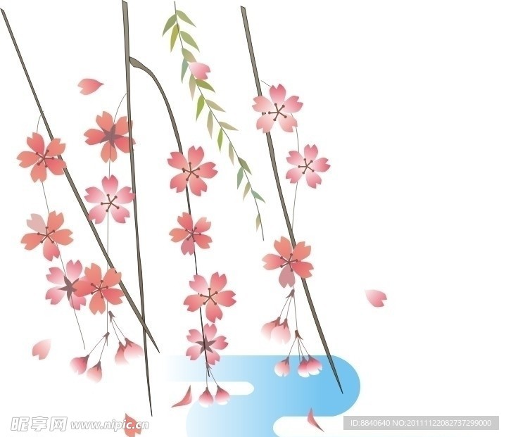 花卉