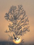 窗花