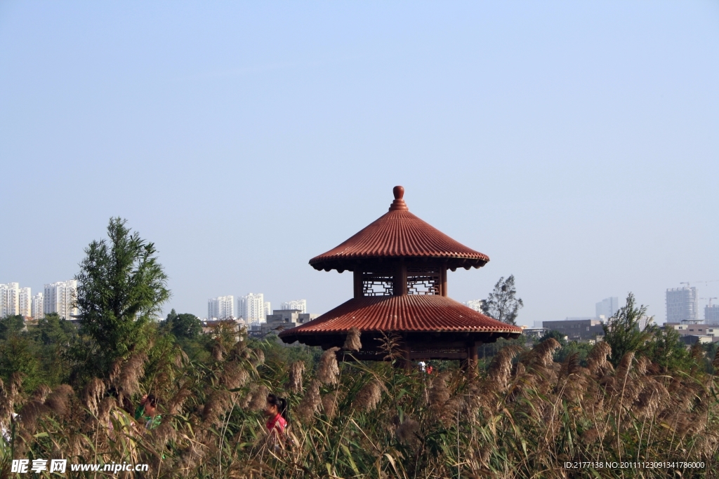 厦门五缘湾湿地公园风光