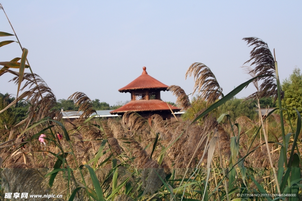 厦门五缘湾湿地公园风光