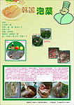 韩国泡菜 泡菜的制作方法