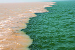 河海交汇