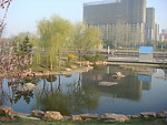 胶州中轴风景