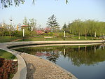 胶州公园美景