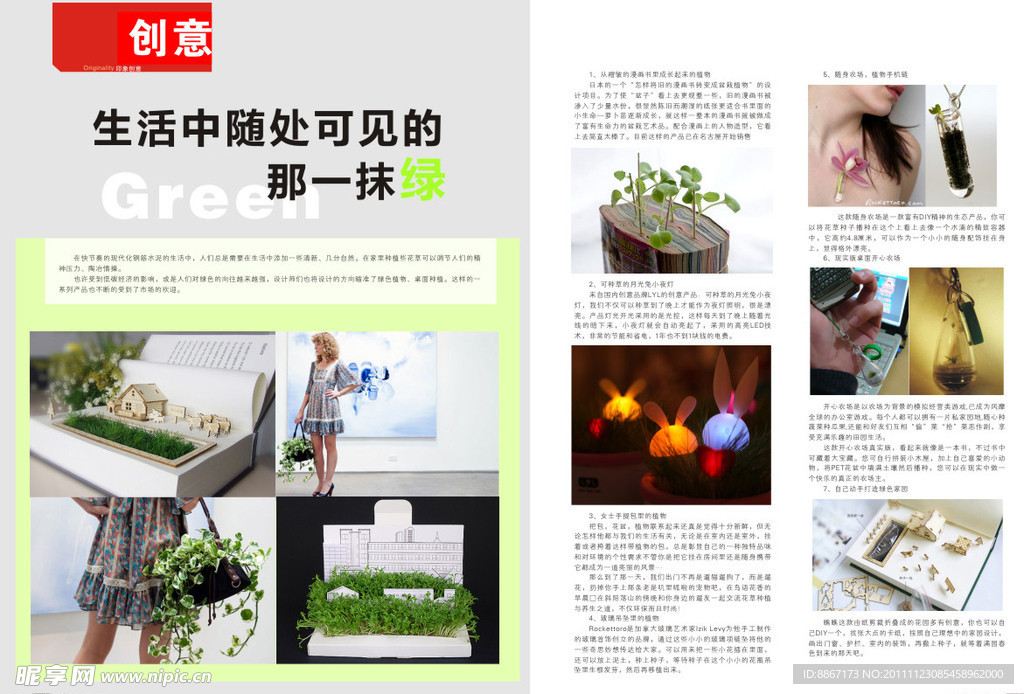 创意植物
