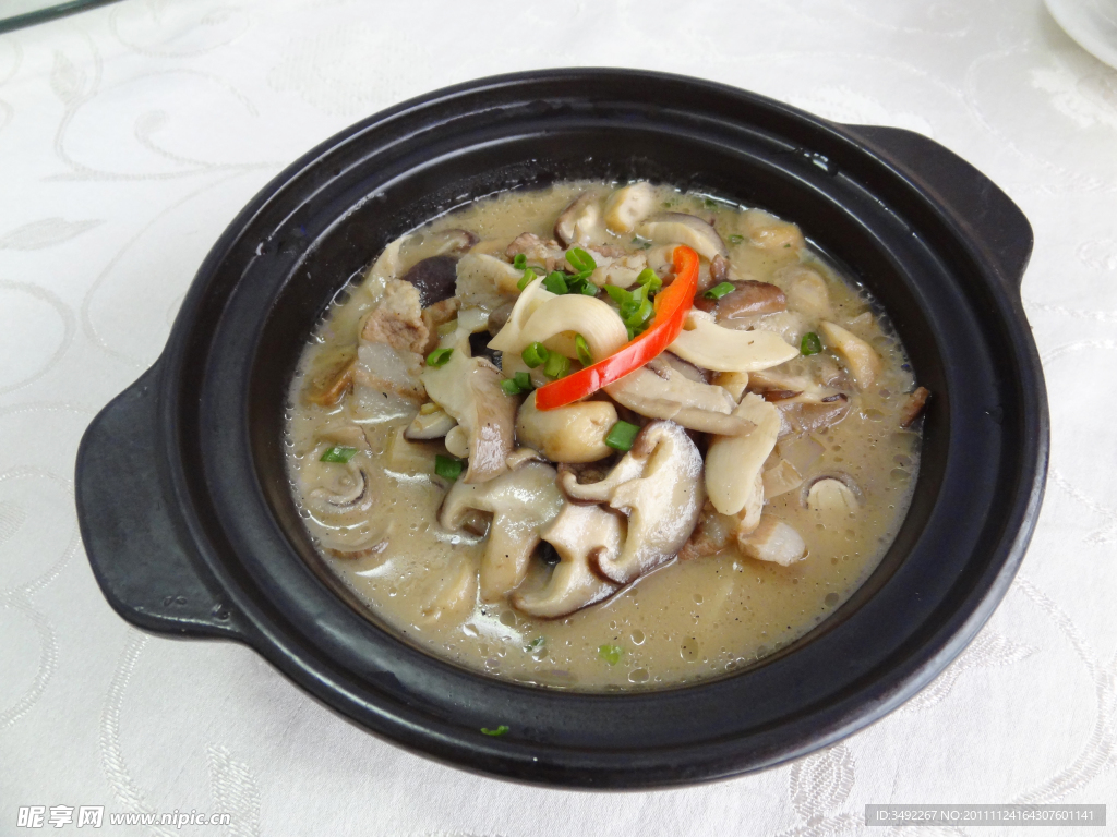 杂菌煲