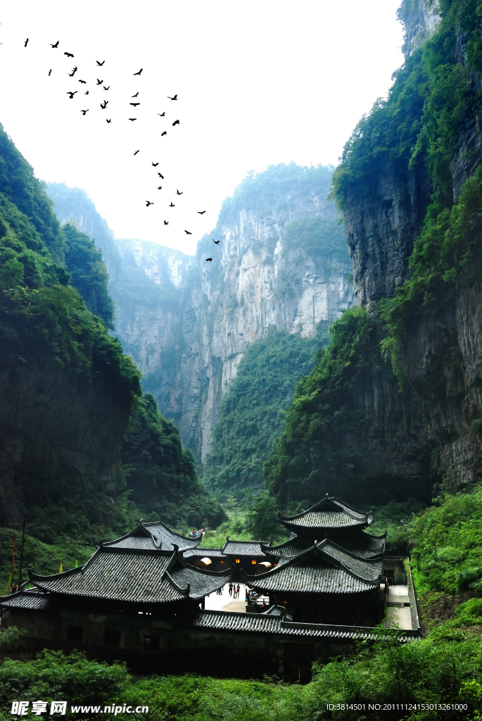 驿站惊飞鸟