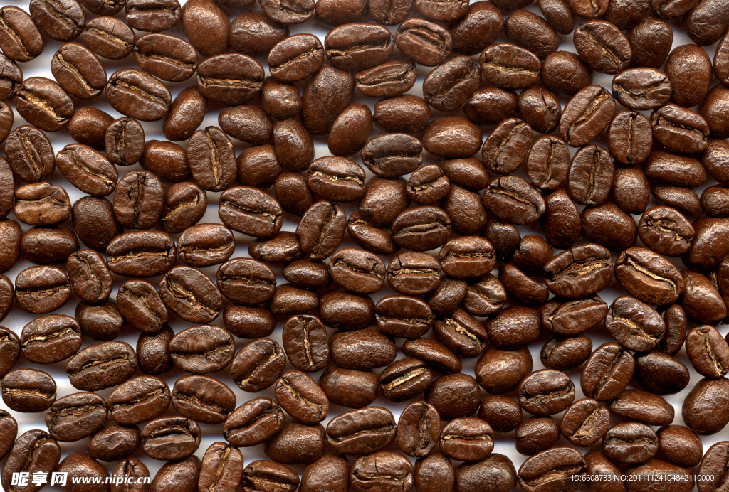 巴西名贵咖啡豆
