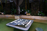 水中象棋