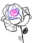 玫瑰花纹