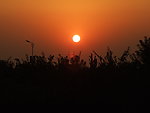 沂河夕照