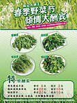 春季野菜节海报