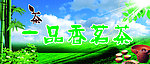 茶业广告设计