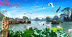 迎客松 风景如画