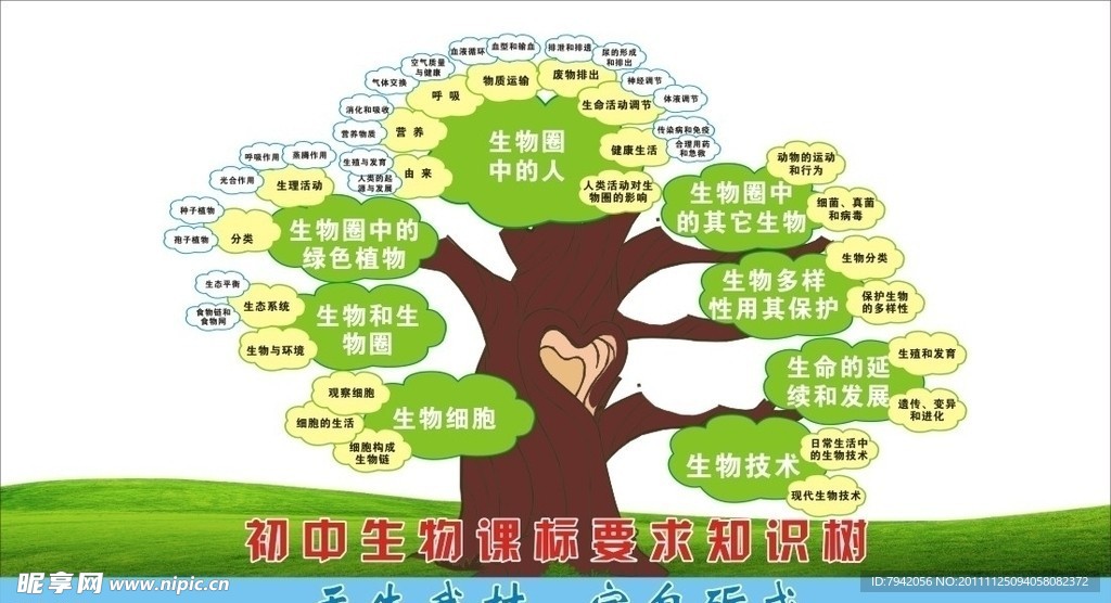知识树