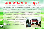 中华名村系列