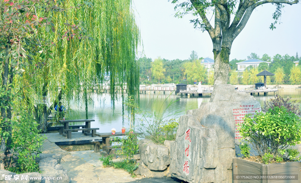 天紫湖风景